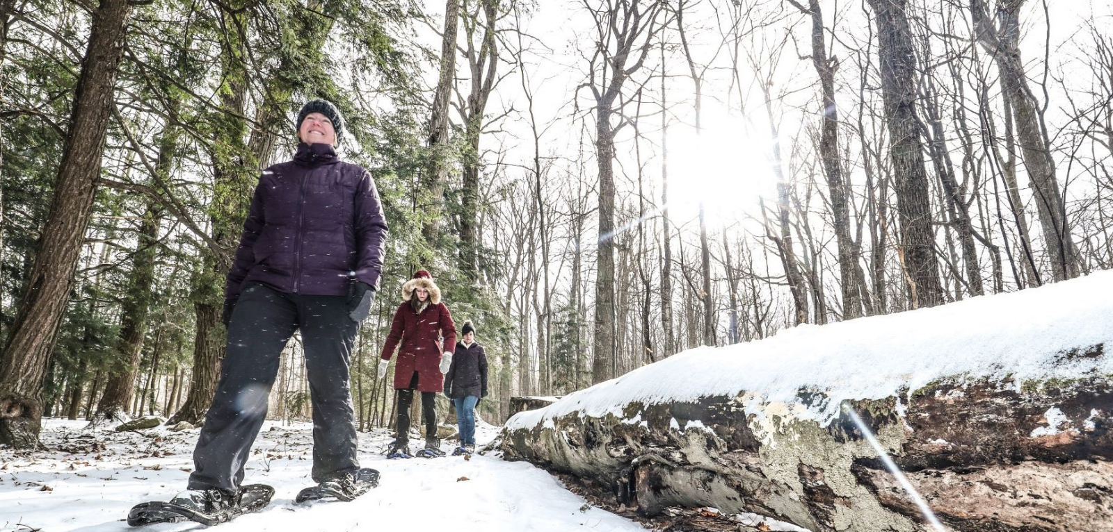 A group of snowshoers are walking through the forest.  